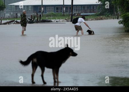 Houston, USA. Mai 2024. Dieses Foto zeigt Menschen und Hunde, die durch ein überflutetes Gebiet in Channelview, östlich von Houston, Texas, die Vereinigten Staaten, waten, 5. Mai, 2024. mindestens ein Junge wurde am Sonntag bei Überschwemmungen in Texas getötet und eine Frau verletzt, wo mehr als ein Drittel Countys in der vergangenen Woche Katastrophenerklärungen aufgrund starker Regenfälle abgegeben haben. Quelle: Chen Chen/Xinhua/Alamy Live News Stockfoto