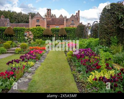 Chenies Manor House und Gärten auf dem Höhepunkt der Tulpensaison. Blauer Himmel und Wolken über dem Herrenhaus Tudor mit Blick auf den gepflegten versunkenen Garten. Stockfoto