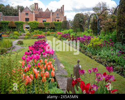 Chenies Manor House und Gärten auf dem Höhepunkt der Tulpensaison. Blauer Himmel und Wolken über dem Herrenhaus Tudor mit Blick auf den gepflegten versunkenen Garten. Stockfoto