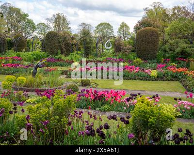 Chenies Manor Sunken Garden and Pond, Buckinghamshire. Reihen von leuchtenden Orangen, rosa, roten und violetten Tulpen an einem sonnigen Nachmittag im April. Stockfoto