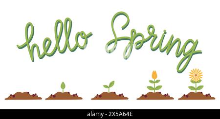 Lebenszyklus der Blüten. Wachstumsphasen vom Saatgut bis zur Blüte. „Hallo Spring“-Schriftzug. Flache bunte Vektorillustration für Karte, Einladung, Banner, Stock Stock Vektor