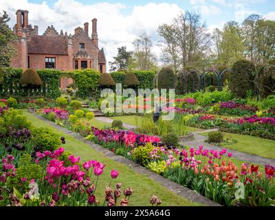 Chenies Manor House und Gärten auf dem Höhepunkt der Tulpensaison. Blauer Himmel und Wolken über dem Herrenhaus Tudor mit Blick auf den gepflegten versunkenen Garten. Stockfoto