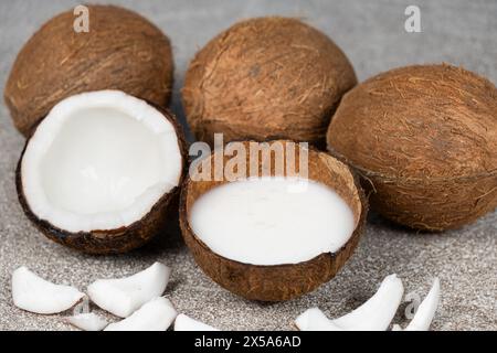 Kokosmilch in Kokosnussschale und Kokosnuss, gehacktes Fleisch auf grauem Hintergrund Stockfoto