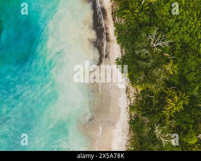 Ein Foto, das die exotische Schönheit eines ruhigen Strandes in einem dichten tropischen Wald in Costa Rica einfängt Stockfoto