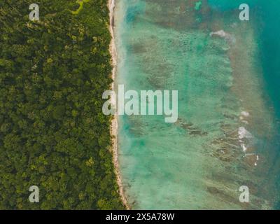 Ein Luftbild fängt das lebhafte Nebeneinander des dichten tropischen Waldes mit dem klaren türkisfarbenen Wasser der Küste Costa Ricas ein Stockfoto
