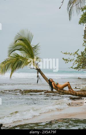 Eine Frau liegt auf einer Palme über einem tropischen Strand in Costa Rica und verkörpert Entspannung und Strandleben Stockfoto