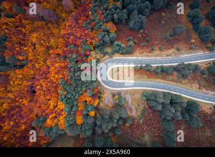 Aus der Vogelperspektive auf eine kurvenreiche Straße, die durch einen lebhaften Herbstwald in den Pyrenäen in Navarra führt, zeigt den saisonalen Wandel. Stockfoto