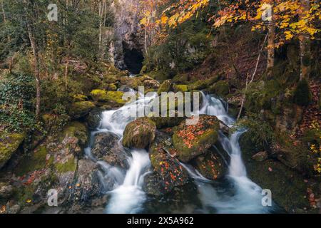 Ein ruhiger Bach fließt über moosbedeckte Felsen, umgeben von Herbstlaub im Roncal Valley, Pyrenäen. Stockfoto