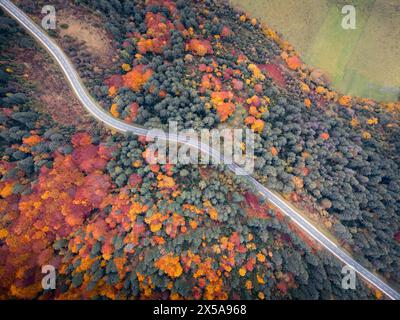Die Luftaufnahme von oben zeigt die leuchtenden Herbstfarben in den Pyrenäen, mit einer sich schlängelnden Straße, die durch das Laub im Roncal Valley bei Puert führt Stockfoto