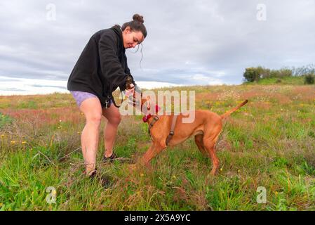 Fröhliche Frau, die mit ihrem gemischten Vizsla-Hund auf dem Land spaziert und die Natur gemeinsam genießt Stockfoto