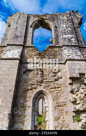 Die Ruinen von Corfe Castle in Corfe, Dorset an einem wunderschönen Apriltag mit blauem Himmel und hohen weißen Wolken Stockfoto