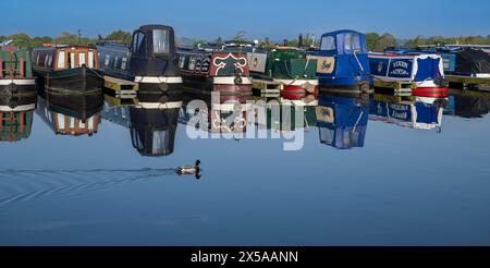 Dunchurch Pools Marina, Warwickshire, Oxford Canal – Schmalboote am Sommermorgen in ruhiger Umgebung vor einem klaren blauen Himmel Stockfoto