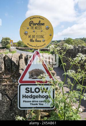 Igel (Erinaceus europaeus), warnen Fahrer, nicht zu schnell zu fahren und verletzliche Igel zu töten, die versuchen, die Straße in Bradley Yorks zu überqueren Stockfoto