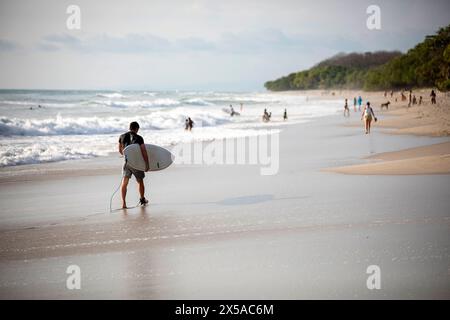 Touristen-Surfer, Mann mit Surfbrett, Spaziergang am wunderschönen Santa Teresa Strand auf der Nicoya Halbinsel am späten Nachmittag, Costa Rica Stockfoto