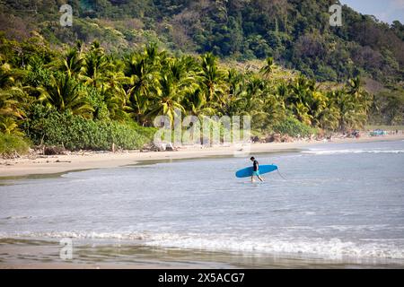 Ein Surfer verlässt Wasser am Hermosa Strand auf der Nicoya Halbinsel in Costa rica, wunderschöner Sandstrand umgeben von Palmen und perfekter Surfspot Stockfoto