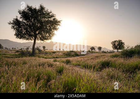 Wunderschöne Landschaft mit Blick auf die Vereinigten Arabischen Emirate Stockfoto