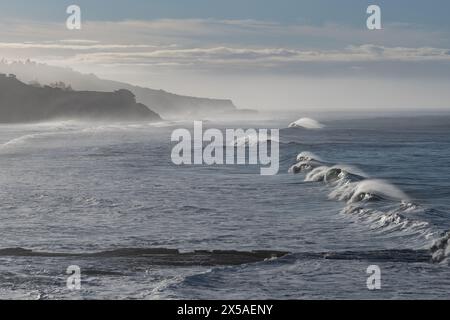 Wellen, die an einem nebeligen Frühlingsmorgen entlang der Küste des Pazifischen Ozeans im Norden Kaliforniens an Land Rollen. Stockfoto