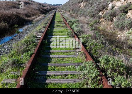 Verlassene Eisenbahngleise entlang der nordkalifornischen Küste, die in die Ferne führen. Stockfoto