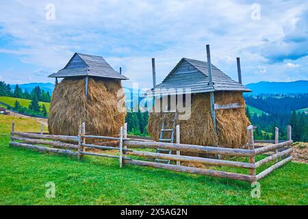 Die riesigen Heuhaufen auf der grünen Wiese, Bergtal-Paprika (Polonyna Pertsi), Ukraine Stockfoto