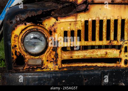 Detailansicht eines verrosteten, alten, stillgelegten alten, gelben Pickup-Trucks, der auf einem Grasfeld geparkt ist. Stockfoto