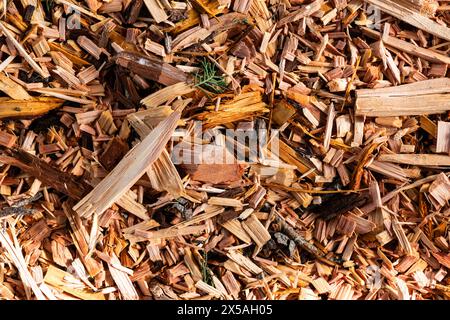 Abstrakte Nahaufnahme eines Stapels frisch geschnittener Holzspäne. Stockfoto