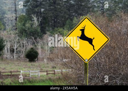 Ein gelbes Warnschild warnt den Fahrer vor Hirschen auf der Straße. Stockfoto