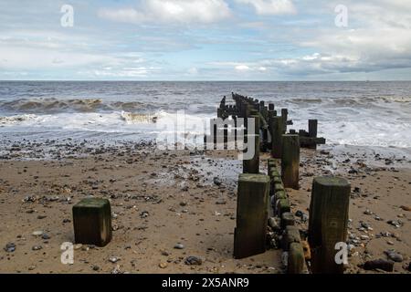 Trimmingham, Norfolk, England, 26. April 2024, ein Holzbruch unter Belagerung vom Wasser Stockfoto