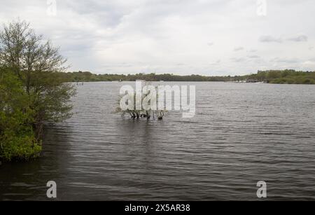 Wroxham, Norfolk, England, April 2024 Stockfoto