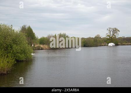 Wroxham, Norfolk, England, April 2024, Landschaftsbild eines Bootes auf den Norfolk Broads. Stockfoto