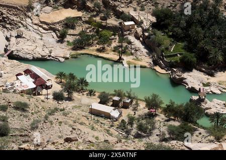 Wadi Bani Khalid Muqil Pools im östlichen Hajar Gebirge Oman Wasser fließt aus Natural Springs durch das ganze Jahr Stockfoto