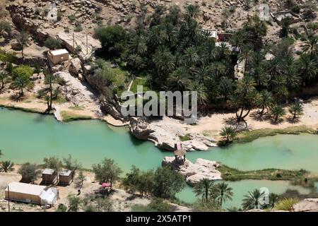 Wadi Bani Khalid Muqil Pools im östlichen Hajar Gebirge Oman Wasser fließt aus Natural Springs durch das ganze Jahr Stockfoto