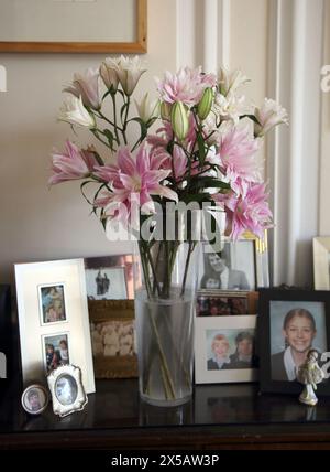 Rosa langstielige Doppellilien in Vase von Family Photographs Stockfoto