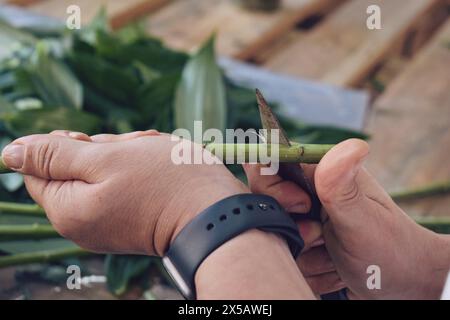 Manuelles Schneiden mit Blumen in einem Blumenhändler, Barcelona, ​​April 16, 2024 Stockfoto