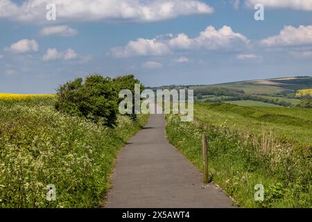 Ein asphaltierter Weg entlang des Ackerlandes in Falmer, in den South Downs Stockfoto