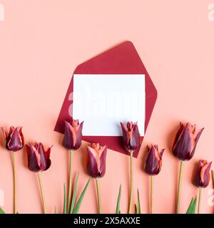 Burgunderroter Umschlag mit sauberem weißem Blatt Papier für Ihren Text und Frühlingsblumen burgunderroter Tulpen auf rosa Hintergrund. Einladung zu den Feiertagen. Fla Stockfoto