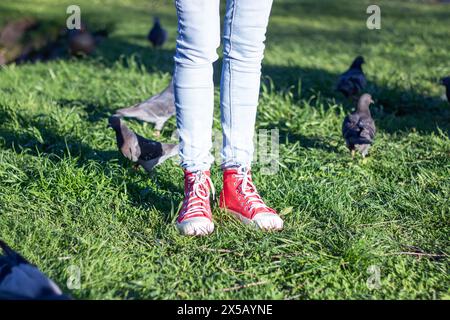 Eine Person in Jeans und roten Schuhen steht im Gras, umgeben von Tauben unter dem Sonnenlicht, mit grünen Pflanzen und Blättern Stockfoto