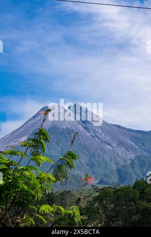 Herrlich am Mount Merapi, gelegen auf Java Island, Indonesien. Stockfoto