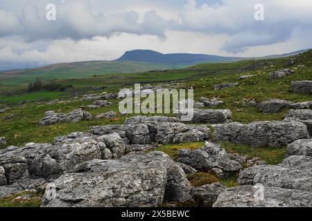 Ein Kalksteinpflaster mit Penyghent in der Ferne, Yorkshire Dales, England, Großbritannien Stockfoto