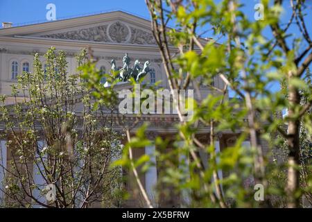 Moskau, Russland. Mai 2024. Blühende Bäume mit jungem Laub auf dem Hintergrund der Fassade des Bolschoi-Theaters auf dem Teatralnaja-Platz im Zentrum von Moskau, Russland Stockfoto