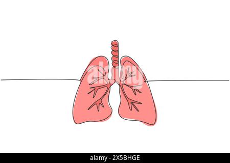 Eine durchgehende Linienzeichnung des anatomischen menschlichen Lungenorgans. Dynamisches medizinisches internes Anatomiekonzept. Einfache Zeichnung grafischer Design-Vektor-Illustration Stock Vektor