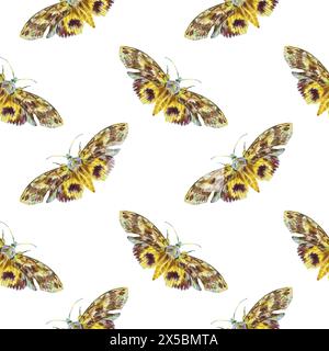 Motten, nahtloses Muster. Handgezeichnete Aquarell Schmetterling Illustration auf weißem Hintergrund. Für Karten, Einladungen, Geschenkpapier, Stoff, Umschläge. Stockfoto