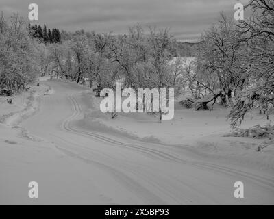 Schwarzweißbild mit kreuzförmigen Skipisten, die sich durch die Landschaft in Tänndalen, Funäsdalen, Schweden schlängeln Stockfoto