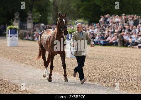 William Levett aus Australien mit Huberthus AC während der ersten Pferdeinspektion bei den Badminton Horse Trials am 8. Mai 2024, Badminton Estate, Vereinigtes Königreich (Foto: Maxime David - MXIMD Pictures) Stockfoto