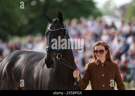 Holly Richardson von Großbritannien mit Bally Louis während der ersten Pferdeinspektion bei den Badminton Horse Trials am 8. Mai 2024, Badminton Estate, Vereinigtes Königreich (Foto: Maxime David - MXIMD Pictures) Stockfoto