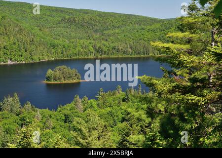 La Mauricie Nationalpark Wapizagonke Lake Pine Island. Kleine runde Insel mitten in einem See. Sonniger Sommertag Stockfoto