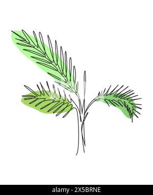 Eine einzelne Linie Zeichnung Handfläche faux areca Blatt Vektorgrafik. Tropisches Blatt minimalistischer Stil, Blumenmuster Konzept für Poster, Wanddekor PR Stock Vektor