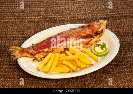 Gebackene Forelle mit Pommes Frites - Regenbogenforelle vom Tota Boyaca See. Kolumbianische Gastronomie Stockfoto