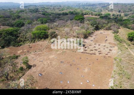 Reinigung von Land von Bäumen für landwirtschaftlich genutzte Landschaft aus der Vogelperspektive Stockfoto