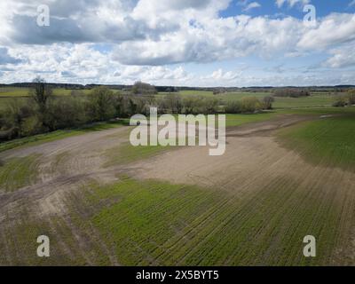 31. März 2024 Eine Überschwemmung der Landwirte beschädigte Wintergetreideernte Stockfoto