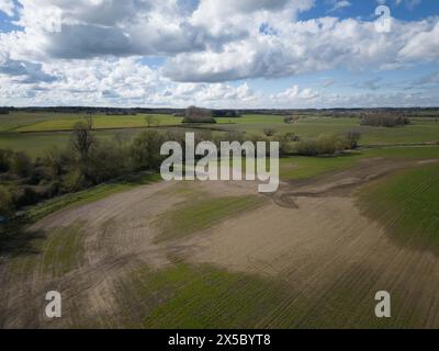 31. März 2024 Eine Überschwemmung der Landwirte beschädigte Wintergetreideernte Stockfoto